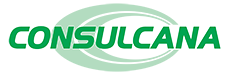 Consulcana